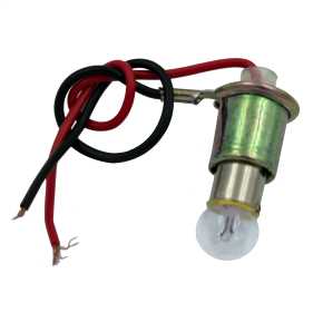 Light Bulb And Socket Assembly
